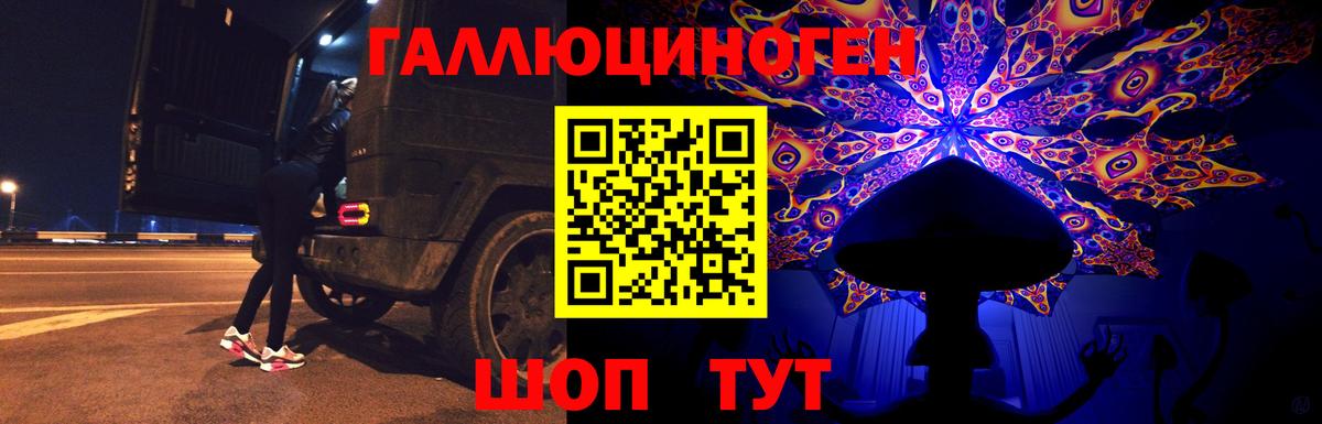 Шелехов  Псилоцибиновые грибы Cubensis  Вход с VPN  Галлюциногенные грибы Psilocybine cubensis 